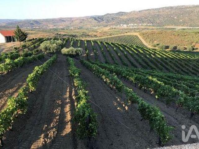 Terreno venda em Vila Flor, Bragança