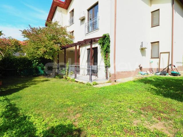 Casă închirieri în Pipera, Voluntari
