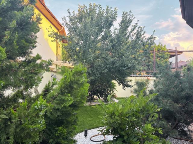 Casă închirieri în Voluntari, București