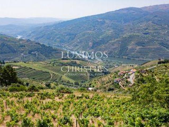 Loja venda em Vila Real