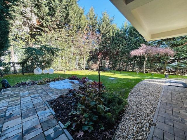 Casă închirieri în Voluntari, București