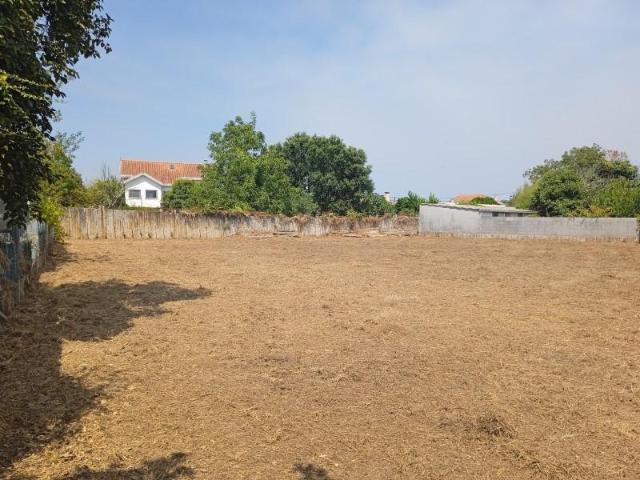 Terreno venda em Vila Nova De Cerveira, Viana Do Castelo