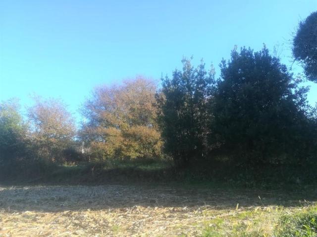 Terreno venda em Vila Nova De Cerveira, Viana Do Castelo