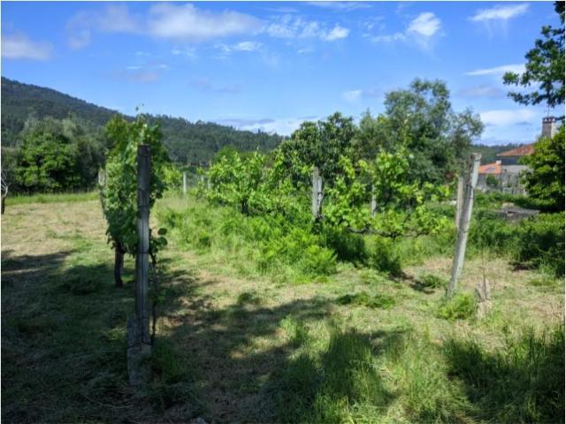 Terreno venda em Vila Nova De Cerveira, Viana Do Castelo