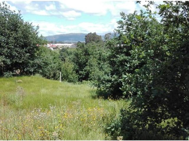 Terreno venda em Vila Nova De Cerveira, Viana Do Castelo