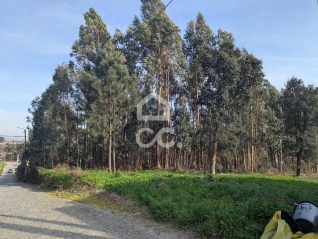 Terreno venda em Gavião, Braga