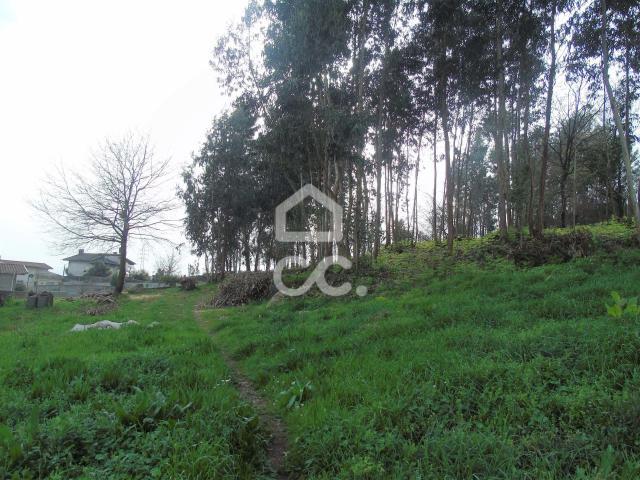 Terreno venda em Gavião, Braga