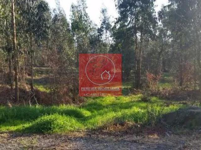 Terreno venda em Açores