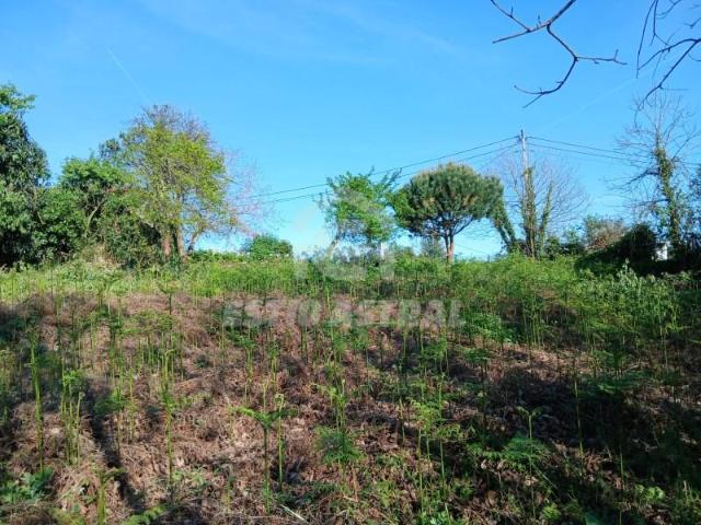 Terreno venda em Gavião, Braga