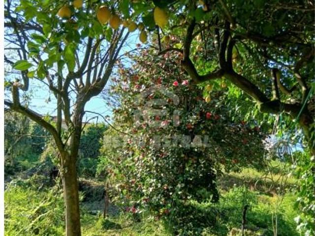 Terreno venda em Gavião, Braga