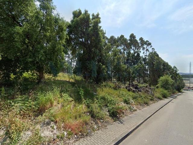 Terreno venda em Calendário, Braga