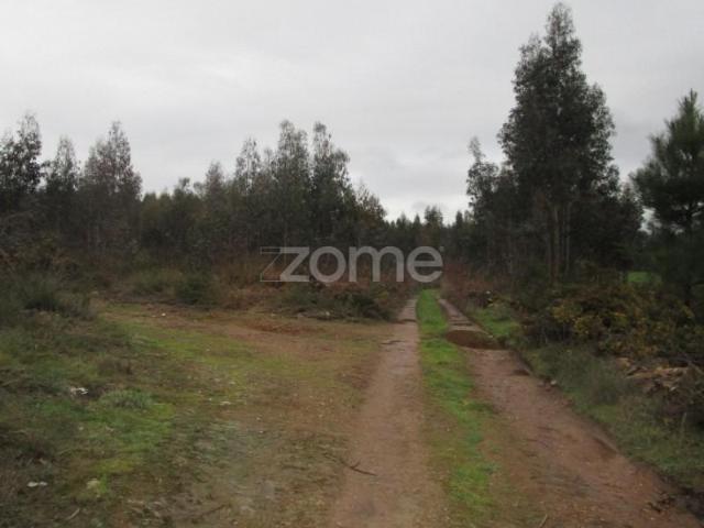 Terreno venda em Calendário, Braga