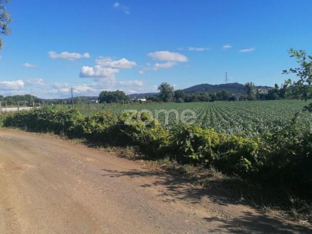 Terreno venda em Vila Nova de Famalicão e Calendário, Vila Nova de Famalicão