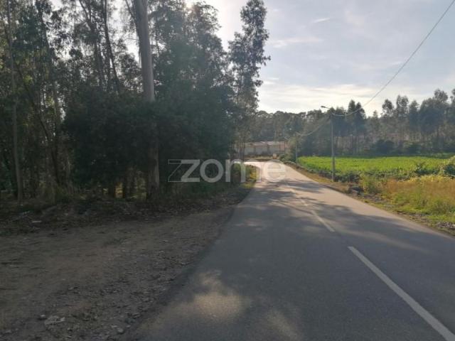 Terreno venda em Calendário, Braga