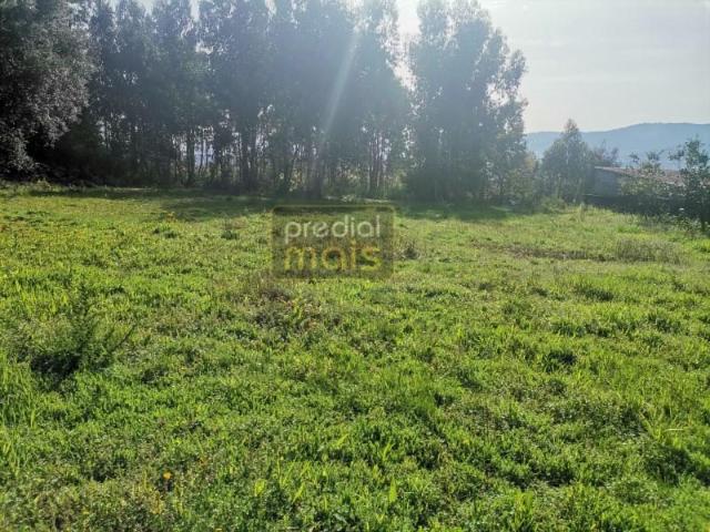 Terreno venda em Vila Nova de Famalicão e Calendário, Vila Nova de Famalicão