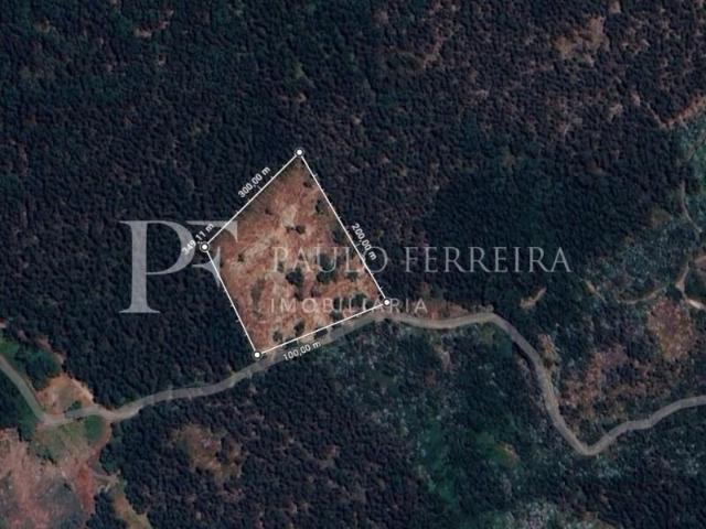 Terreno venda em Calendário, Braga