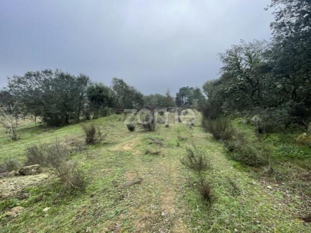 Terreno venda em Guarda, Mós