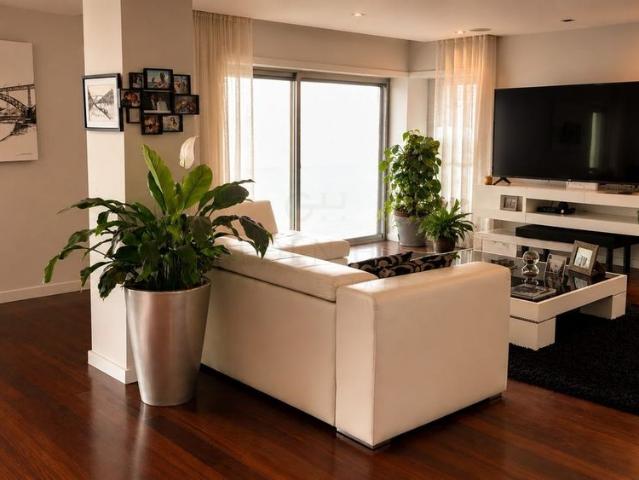 Apartamento alugar em Porto, Cedofeita