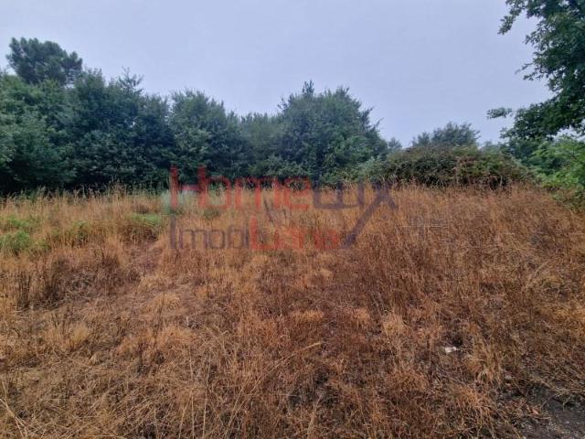 Terreno venda em Vila Nova de Paiva, Vila Nova de Paiva, Alhais e Fráguas