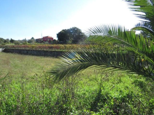 Terreno venda em Poiares (Santo André), Vila Nova De Poiares