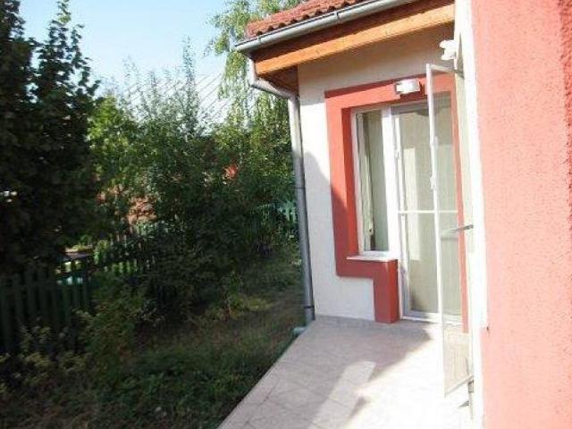 Casă închirieri în Pipera, Voluntari