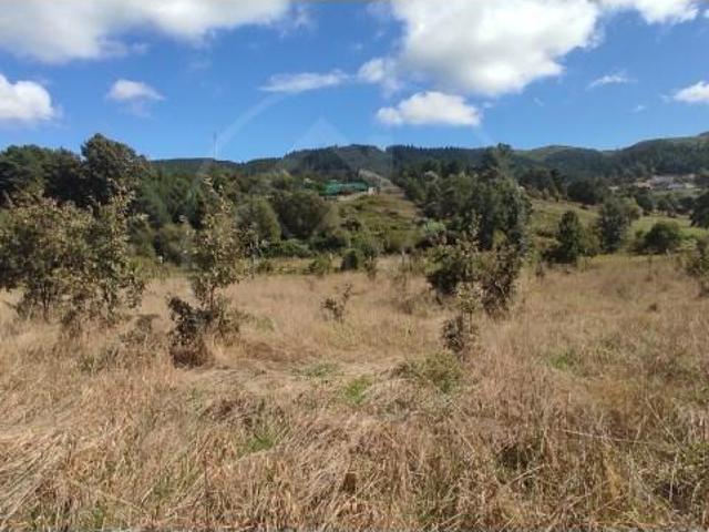Terreno venda em Afonsim, Vila Real