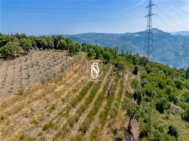 Terreno venda em Peso da Régua, Vila Real