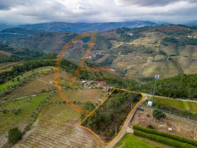 Terreno venda em Vila Seca de Poiares, Peso Da Régua