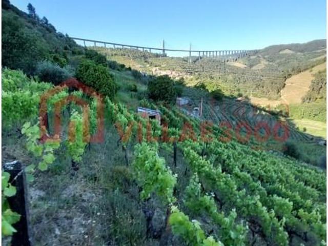 Terreno venda em Vila Real