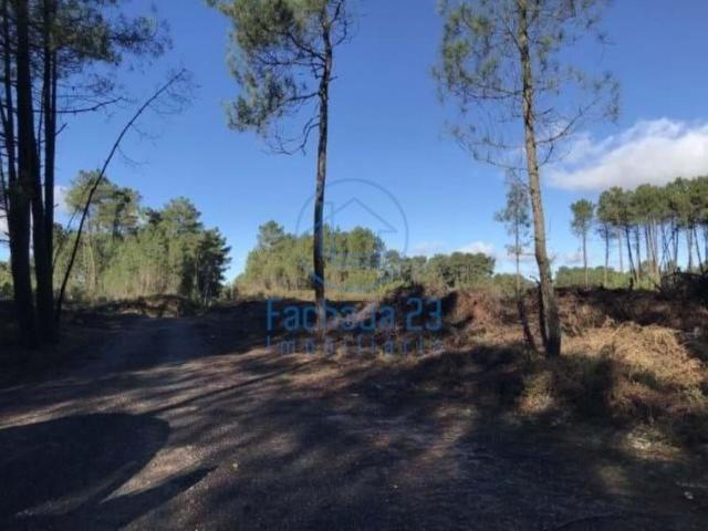Terreno venda em Vila Real