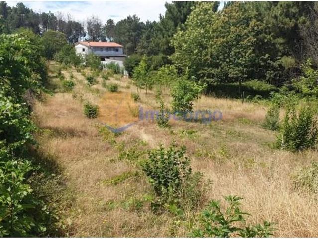 Terreno venda em Vila Real