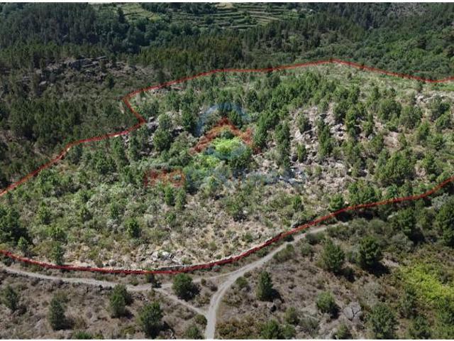 Terreno venda em Vila Real