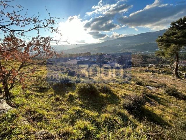 Terreno venda em Vila Real