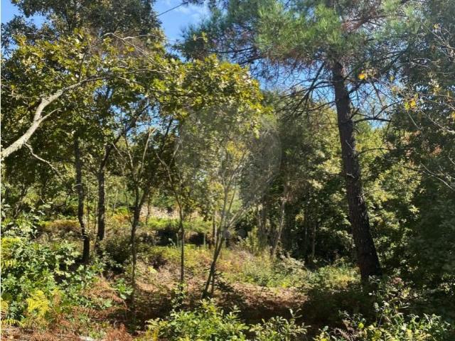 Terreno venda em Minhava, Vila Real