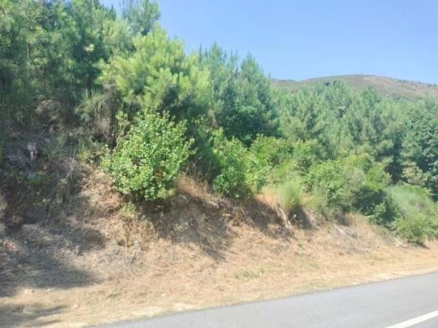 Terreno venda em Vila Real