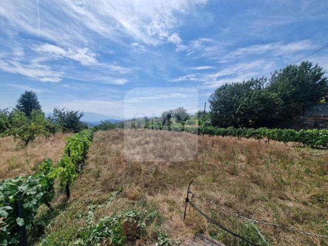Terreno venda em Vila Real