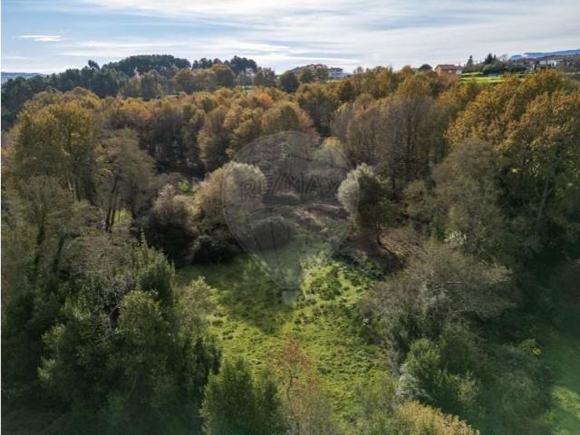 Terreno venda em Minhava, Vila Real
