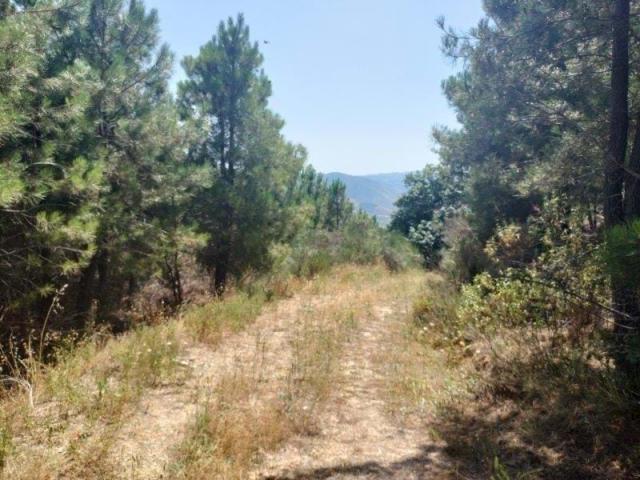 Terreno venda em Vila Real