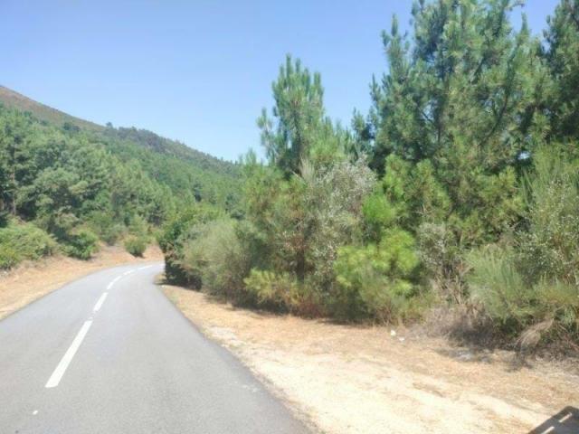 Terreno venda em Vila Real