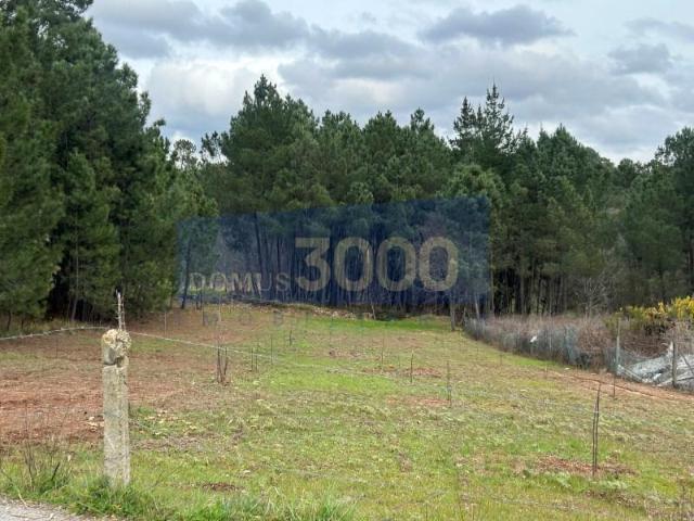 Terreno alugar em Vila Real