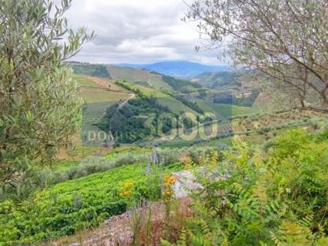 Terreno venda em Vila Real