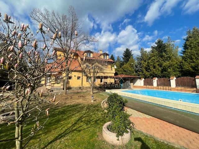 Casă închirieri în Voluntari, București