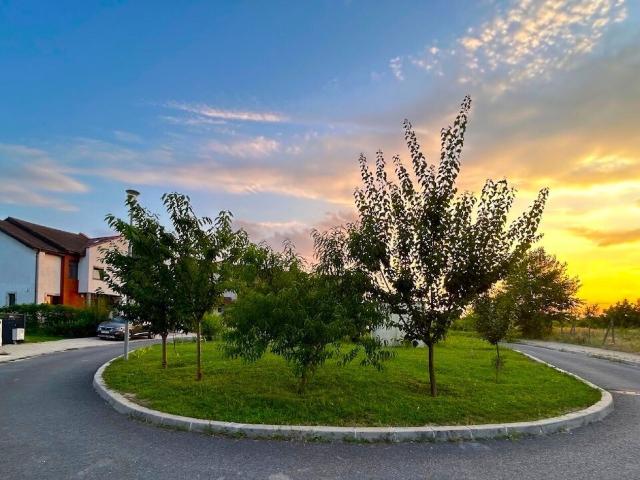 Casă închirieri în București
