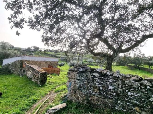 Terreno venda em Castelo Branco, Vila Velha De Ródão