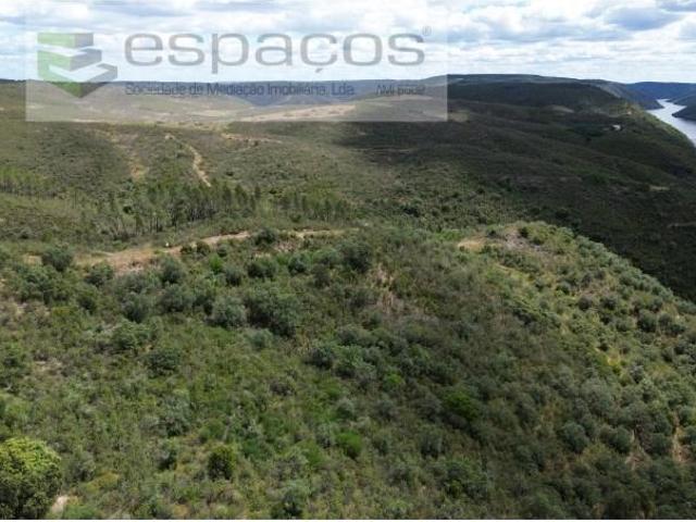 Terreno venda em Castelo Branco, Vila Velha De Ródão