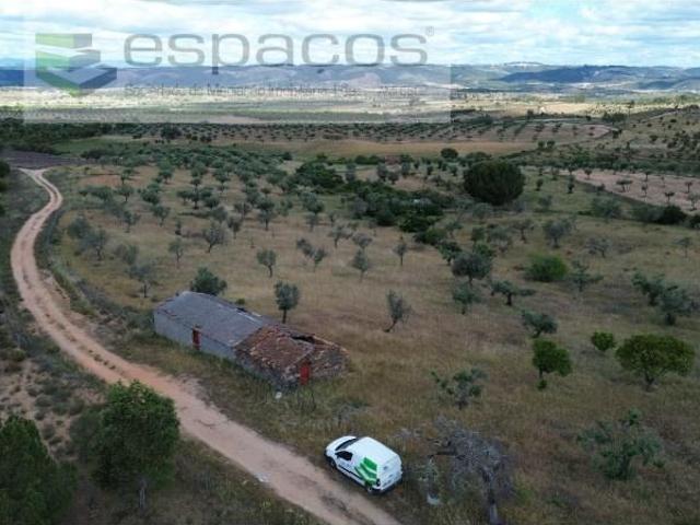 Terreno venda em Castelo Branco, Vila Velha De Ródão