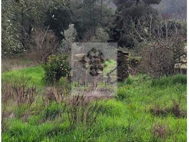 Terreno venda em Castelo Branco, Vila Velha De Ródão