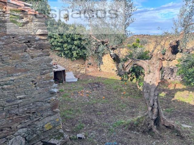 Casa venda em Castelo Branco, Vila Velha De Ródão
