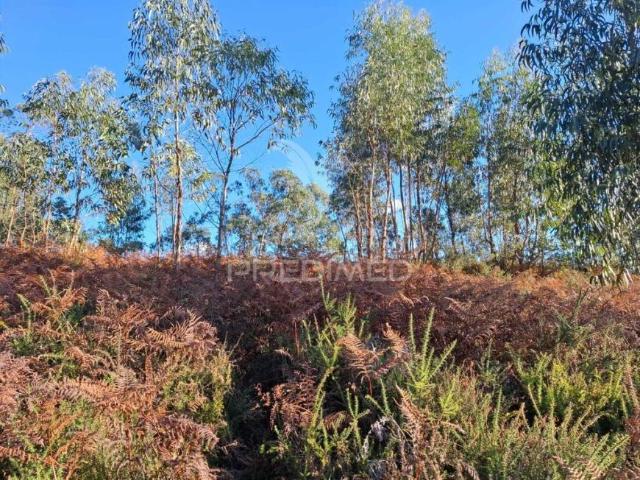 Terreno venda em Vila Verde, Braga
