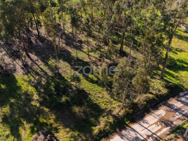 Terreno venda em Figueira Da Foz, Coimbra